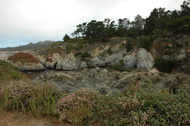 Point Lobos 051.jpg